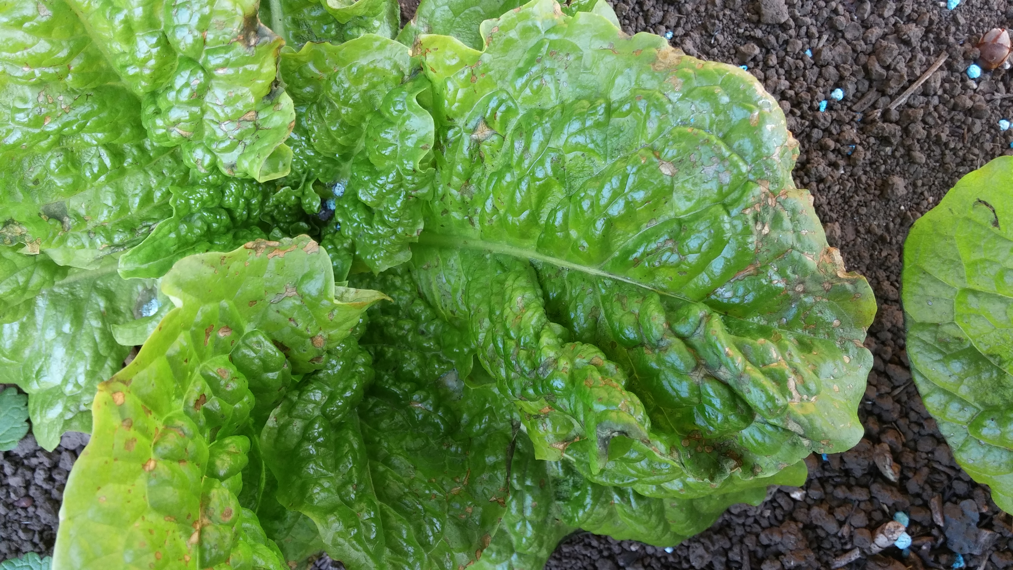 이렇게 된 원인을 알고 싶습니다.